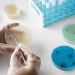 Startup biotech busca convertirse en líder de desarrollo microbiológico en Latam