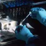 Biotech chilena se asocia con empresas nórdicas