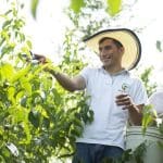 Se extiende convocatoria para programa de aceleración en Chile y Colombia