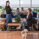 WeWork: De una valoración de US$47.000 millones a declararse en bancarrota