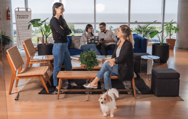 WeWork: De una valoración de US$47.000 millones a declararse en bancarrota