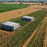 Tecnología de inteligencia artificial aplicada en un campo agrícola.