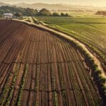 Campo agrícola de California con sistema de riego por goteo visto desde arriba