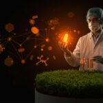 Startup mexicana MicroIN con tecnología innovadora de microencapsulación para bioinsumos agrícolas que promueven la agricultura regenerativa y sostenibilidad.
