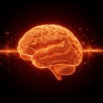 Registro visual de ondas cerebrales similares a recuerdos en un cerebro humano agonizante, explorando neurociencia y experiencia cercana a la muerte.