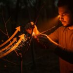 Cómo una innovación técnica transformó un mercado: lecciones