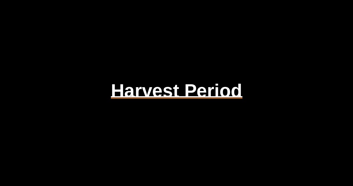 ¿Qué es Harvest Period? - Glosario Ecosistema Startup