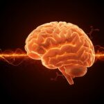 Representación visual del sistema de recompensa cerebral modulada por GLP-1 y Ozempic en el tratamiento de adicciones al alcohol y opioides.