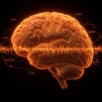Ilustración conceptual de ritmo cerebral infraslow destacando avances en neurociencia aplicada y tecnología health tech.