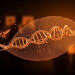 Biopesticida RNAi: startup misionera contra el HLB