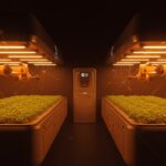 Invernadero robótico autónomo de agricultura indoor innovadora destacando tecnología y automatización agrícola para agtech en LATAM.