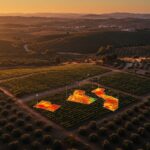 Guia contra heladas en olivos y vinas con drones