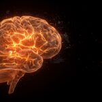 Innovadora preservación cerebral y avances en neurociencia visualizados con integración tecnológica en paleta naranja y negro.