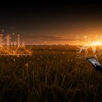 Cultivo de arroz afectado por cambio climático con fundador de agrotech analizando soluciones innovadoras para adaptación agrícola.