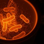 Bacterias genéticamente modificadas produciendo ingredientes raros en biomanufactura sostenible para startups de biotecnología.