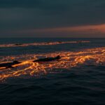 Colapso del afloramiento estacional en el Golfo de Panamá y oportunidades para startups de tecnología oceánica y cambio climático.