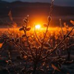 Helada tardía destruye por completo la cosecha de almendra en Granada 2026, evidenciando el impacto económico y oportunidades en agrotech.