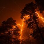 Descargas corona ultravioleta visibles en copas de árboles durante tormentas, destacando tecnología ambiental y monitoreo ambiental innovador.