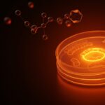 Startup biotecnológica BioH41 desarrollando innovación en cosmética natural y transferencia tecnológica deeptech en LATAM.