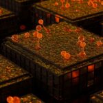 Paneles de biomateriales a base de algas con diseño sostenible, representando la innovación DeepTech de Nido y la reducción de CO2 en construcción.