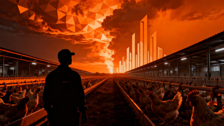 Crecimiento del sector avícola en Colombia frente a los desafíos climáticos de El Niño y proyecciones de Fenavi para 2026.