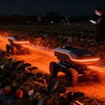 Robots autónomos UV-C operando en cultivos de frutillas bajo un modelo de agrotech RaaS en California.