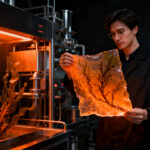 Startup mexicana Bioplaster transforma sargazo en bioplásticos sostenibles tras levantar capital.