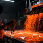 Startup mexicana Bioplaster transforma sargazo en bioplásticos sostenibles en Mérida, Yucatán.